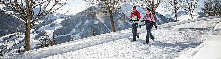 Schneeschuhwandern & Pferdekutschenfahren